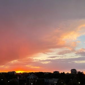 Meet your Posher, Diana